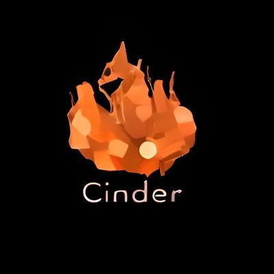 Engineer that owns a company called Cinder.