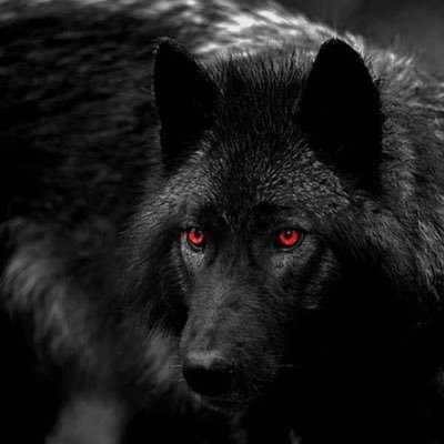 AuroraO70082722's profile picture. 