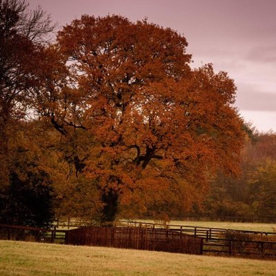 East Hoathly Village Concerns is an action group set up to help protect our ancient village in Wealden East Sussex from over-development