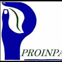 Product. Integrales (@proinpa) 's Twitter Profile