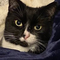Phoebe (@phoebe77351540) 's Twitter Profile