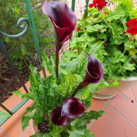 Vijay Visweswaran (@vijvis) 's Twitter Profile Photo