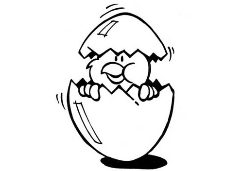 PietjePuk0's profile picture. 