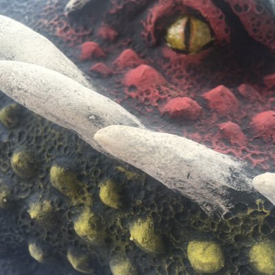 @TexasLizard111