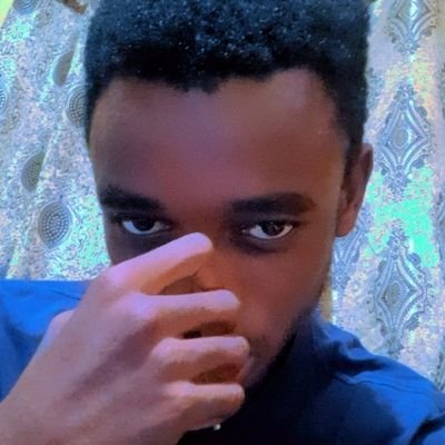 Software Developer * Django Developer * Web designer