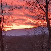 Humbucker 9 (@complexity99) 's Twitter Profile