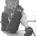 Brooklyn Wildlife (@bkwildlife) Twitter profile photo
