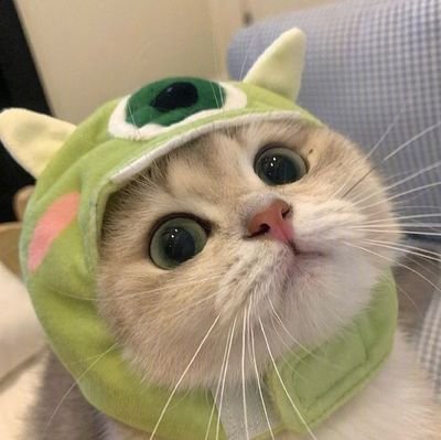 tanunlocks's profile picture. ⩩ slide thru my dms for unlock!