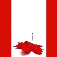 Canadian patriot in Southwest Ontario (@orthomom25) 's Twitter Profile