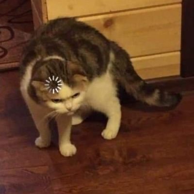 dancerwithHeart's profile picture. •mostly teacher attachment
•she/her
•dancer
•conan gray stan
•🇵🇱