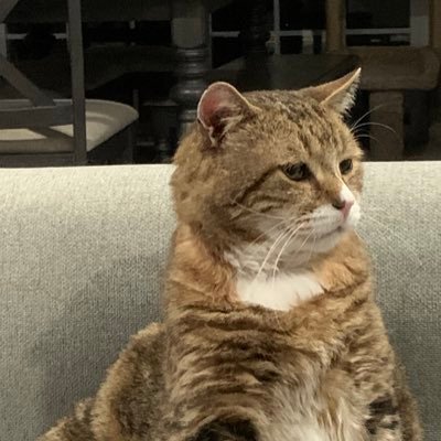 TrainMom31's profile picture. 