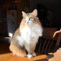 BitchPuddin (@bitchpuddin1992) 's Twitter Profile