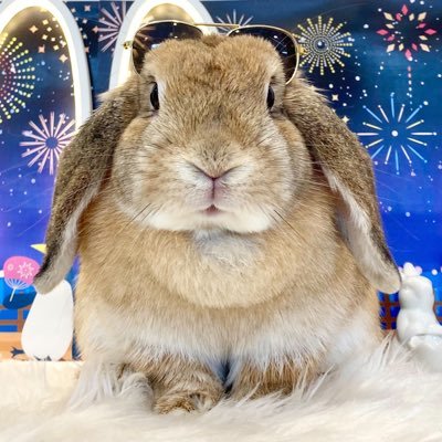 KENSHIROさんのプロフィール画像