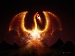 MuizenbergMen's profile picture. Come and share your heart, your truth and your REAL story. Be witnessed. Be heard.