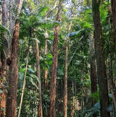 bruno_roche's profile picture. 