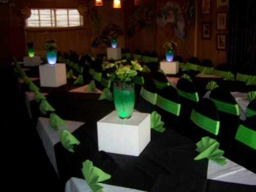 We are a small theming business, weddings, parties, corporate, lights, sound, linen and chair covers, ect
