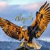 انجمن مبارزان (@anj_mobarazan) Twitter profile photo انجمن مبارزان (@anj_mobarazan) Twitter profile photo