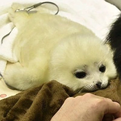 anssummm's profile picture. 