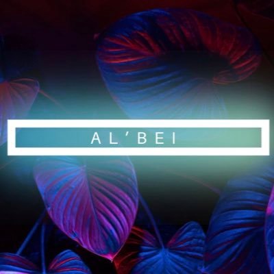 Official Promo Page for Music Artist @_ALBEi