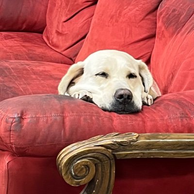 hansgen_john's profile picture. 