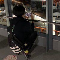 のの@Lv48 (@satoshi_nono_) 's Twitter Profile Photo