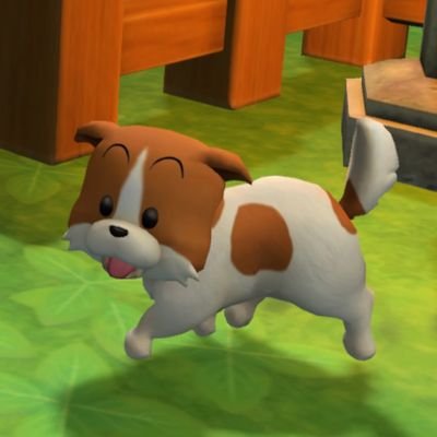 ♡ DQB2 Dragon Quest Builders
♡ドラゴンクエストビルダーズ2
♡ドラクエビルダーズ2
♡ Animal Crossing ♡ どうぶつの森
♡ Genshin Impact
私はドイツ人です。私の日本語はあまり上手くない。 (≧∀≦)ゞ