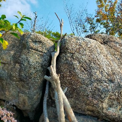 cow09997490's profile picture. トレラン(ジョギング)始めました