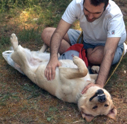 DimitrisLets's profile picture. 