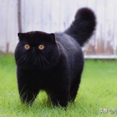 onakaitai93's profile picture. 女 成人済大学生 腐と夢