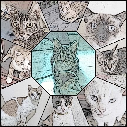 Haaai kami adalah grup kucing dudut La Banditos Kucingtos, follow cerita-cerita kita juga di Instagram @la_banditos_kucingtos ya