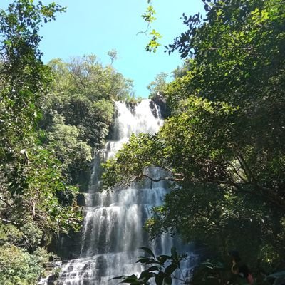 La historia cuenta lo que sucedió; la poesía lo que debía suceder