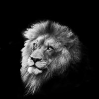 alpha b (@alphablife) 's Twitter Profile Photo alpha b (@alphablife) 's Twitter Profile Photo