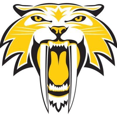 SaberBoysHoops's profile picture. 