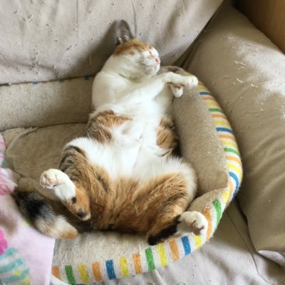 yonghwan_good's profile picture. よろしくお願いします。