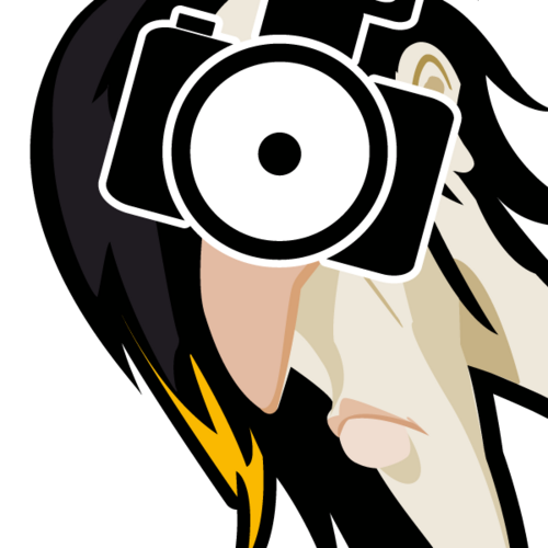 dvfoto1's profile picture. Professional Photographer