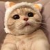 กัน’นอนน้อย (@thasnchu) Twitter profile photo กัน’นอนน้อย (@thasnchu) Twitter profile photo