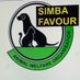Animal Welfare (@Simba_favour) Twitter profile photo