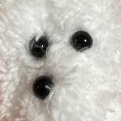 よさこい和尚さんのプロフィール画像