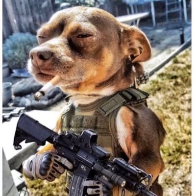 alpinedevil335's profile picture. 