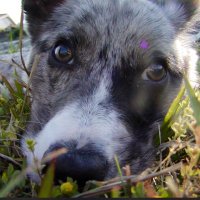 okmt (@3510mi) 's Twitter Profile