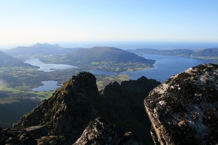 dyrnesk's profile picture. 