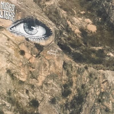 erikarinconm's profile picture. 