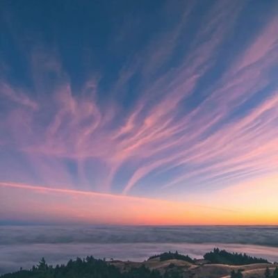 Techn012's profile picture. Shows up late. Brings flowers. she/her.