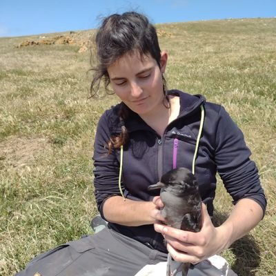 PhD candidate at @IMASUTAS University of Tasmania and @CEBC_ChizeLab. Ecophysiology of Adélie penguins.