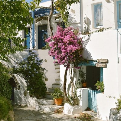 Arlie83851768's profile picture. 