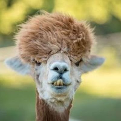 DaneD84's profile picture. 