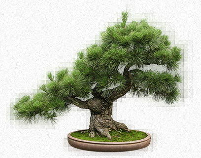 RentAMourner's profile picture. Rent a Mourner is a specialist web site which supplies professional, discreet personnel for funerals and wakes.