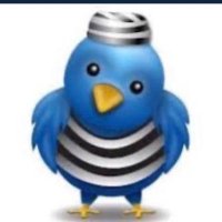 Tooie (@discopervis) Twitter profile photo