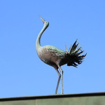 テニス好き。2021年12月より鳥見開始。 2022年11月に西湘へ転居。ストレス無く鳥見が出来る環境を得て満喫中。丘、森林、川、海、田畑に囲まれる生活です(^o^)