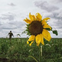 🇺🇦 Ukraine is... (@_ukraine_is_) 's Twitter Profile